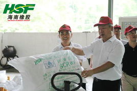 李明泉總裁深入云南海膠調(diào)研，指導(dǎo)推進現(xiàn)代化網(wǎng)站建設(shè)與數(shù)字化轉(zhuǎn)型